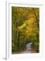 Scenic Road Through Autumn Forest Indiana, USA-Chuck Haney-Framed Photographic Print