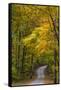 Scenic Road Through Autumn Forest Indiana, USA-Chuck Haney-Framed Stretched Canvas
