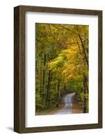 Scenic Road Through Autumn Forest Indiana, USA-Chuck Haney-Framed Photographic Print