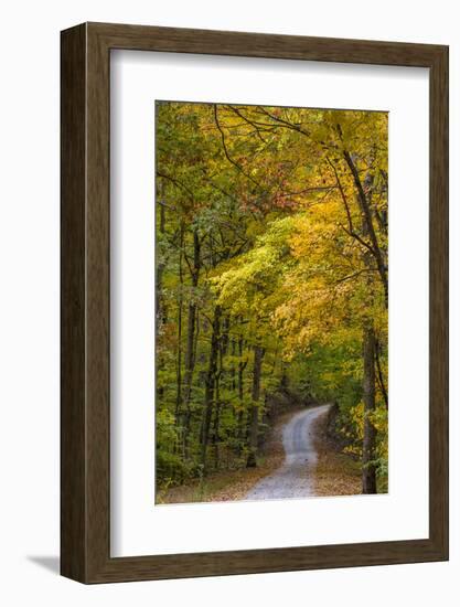 Scenic Road Through Autumn Forest Indiana, USA-Chuck Haney-Framed Photographic Print