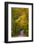 Scenic Road Through Autumn Forest Indiana, USA-Chuck Haney-Framed Photographic Print