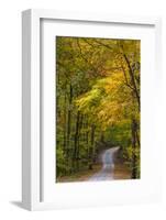 Scenic Road Through Autumn Forest Indiana, USA-Chuck Haney-Framed Photographic Print