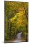 Scenic Road Through Autumn Forest Indiana, USA-Chuck Haney-Mounted Photographic Print