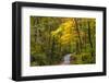 Scenic Road Through Autumn Forest Indiana, USA-Chuck Haney-Framed Photographic Print