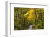 Scenic Road Through Autumn Forest Indiana, USA-Chuck Haney-Framed Photographic Print