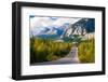 Scenic Road through Jasper National Park, Canada-Damian James-Framed Photographic Print