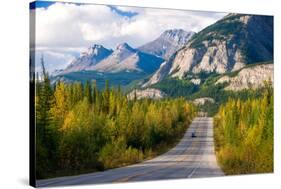 Scenic Road through Jasper National Park, Canada-Damian James-Stretched Canvas