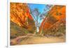 Scenic Simpsons Gap and permanent vegetation in West MacDonnell Ranges, Australia-Alberto Mazza-Framed Photographic Print