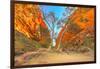 Scenic Simpsons Gap and permanent vegetation in West MacDonnell Ranges, Australia-Alberto Mazza-Framed Photographic Print