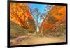 Scenic Simpsons Gap and permanent vegetation in West MacDonnell Ranges, Australia-Alberto Mazza-Framed Photographic Print