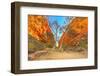 Scenic Simpsons Gap and permanent vegetation in West MacDonnell Ranges, Australia-Alberto Mazza-Framed Photographic Print