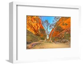 Scenic Simpsons Gap and permanent vegetation in West MacDonnell Ranges, Australia-Alberto Mazza-Framed Photographic Print