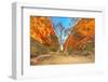 Scenic Simpsons Gap and permanent vegetation in West MacDonnell Ranges, Australia-Alberto Mazza-Framed Photographic Print