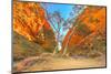 Scenic Simpsons Gap and permanent vegetation in West MacDonnell Ranges, Australia-Alberto Mazza-Mounted Photographic Print