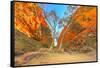 Scenic Simpsons Gap and permanent vegetation in West MacDonnell Ranges, Australia-Alberto Mazza-Framed Stretched Canvas