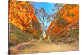 Scenic Simpsons Gap and permanent vegetation in West MacDonnell Ranges, Australia-Alberto Mazza-Stretched Canvas