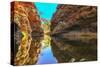 Scenic Simpsons Gap and permanent waterhole, Australia-Alberto Mazza-Stretched Canvas