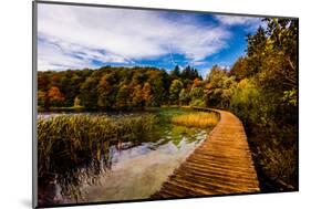 Scenic spot in Plitvice Lakes National Park, UNESCO World Heritage Site, Croatia, Europe-Laura Grier-Mounted Photographic Print