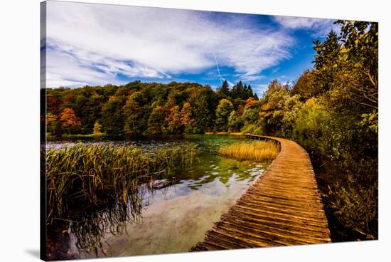 Scenic spot in Plitvice Lakes National Park, UNESCO World Heritage Site, Croatia, Europe-Laura Grier-Stretched Canvas