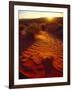 Scenic Sunrise-John Luke-Framed Photographic Print