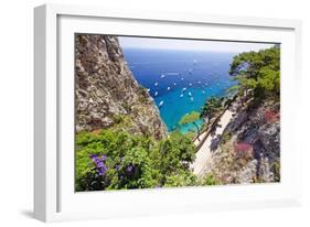 Scenic Trail, Capri, Italy-George Oze-Framed Photographic Print