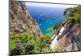 Scenic Trail, Capri, Italy-George Oze-Mounted Photographic Print