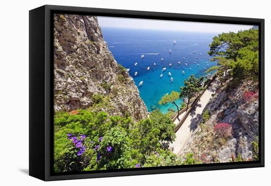 Scenic Trail, Capri, Italy-George Oze-Framed Stretched Canvas