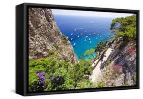 Scenic Trail, Capri, Italy-George Oze-Framed Stretched Canvas