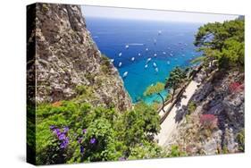Scenic Trail, Capri, Italy-George Oze-Stretched Canvas
