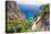 Scenic Trail, Capri, Italy-George Oze-Stretched Canvas