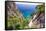 Scenic Trail, Capri, Italy-George Oze-Framed Stretched Canvas