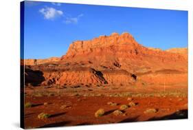 Scenic Vermilion Cliffs National Park Area between Arizona and Utah-SNEHITDESIGN-Stretched Canvas