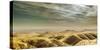 Scenic View, Looking East Towards The Central Valley From The Temblor Range-Ron Koeberer-Stretched Canvas