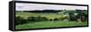 Scenic View of a Farm, Amish Country, Holmes County, Ohio, Usa-null-Framed Stretched Canvas