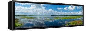 Scenic view of a lake against cloudy sky, Upper Myakka Lake, Myakka River State Park, Sarasota,...-null-Framed Stretched Canvas