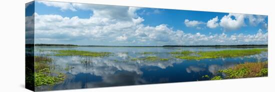 Scenic view of a lake against cloudy sky, Upper Myakka Lake, Myakka River State Park, Sarasota,...-null-Stretched Canvas