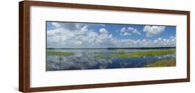 Scenic view of a lake against cloudy sky, Upper Myakka Lake, Myakka River State Park, Sarasota,...-Panoramic Images-Framed Photographic Print