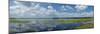 Scenic view of a lake against cloudy sky, Upper Myakka Lake, Myakka River State Park, Sarasota,...-Panoramic Images-Mounted Photographic Print