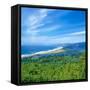 Scenic view of Bayocean Peninsula, Oregon Coast, Tillamook County, Oregon, USA-null-Framed Stretched Canvas