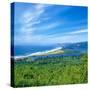 Scenic view of Bayocean Peninsula, Oregon Coast, Tillamook County, Oregon, USA-null-Stretched Canvas