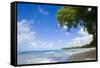 Scenic View of Beach, Sandy Lane Beach, Barbados-Stefano Amantini-Framed Stretched Canvas