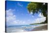 Scenic View of Beach, Sandy Lane Beach, Barbados-Stefano Amantini-Stretched Canvas