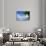 Scenic View of Beach, Sandy Lane Beach, Barbados-Stefano Amantini-Stretched Canvas displayed on a wall