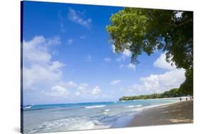 Scenic View of Beach, Sandy Lane Beach, Barbados-Stefano Amantini-Stretched Canvas