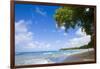Scenic View of Beach, Sandy Lane Beach, Barbados-Stefano Amantini-Framed Photographic Print