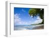 Scenic View of Beach, Sandy Lane Beach, Barbados-Stefano Amantini-Framed Photographic Print