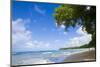 Scenic View of Beach, Sandy Lane Beach, Barbados-Stefano Amantini-Mounted Photographic Print