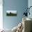 Scenic view of corn field against sky near Potosi, Wisconsin, USA-null-Stretched Canvas displayed on a wall