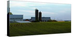 Scenic view of corn field against sky near Potosi, Wisconsin, USA-null-Stretched Canvas