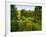 Scenic View of Country Garden-Tim Kahane-Framed Photographic Print